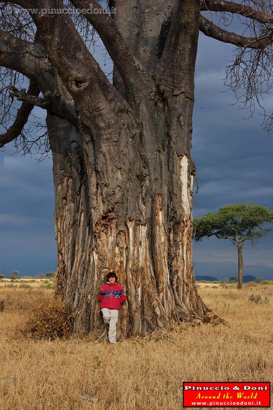 TANZANIA - Tarangire National Park - 51.jpg